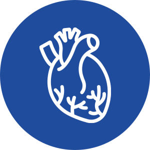 cardiochirurgia rimsa