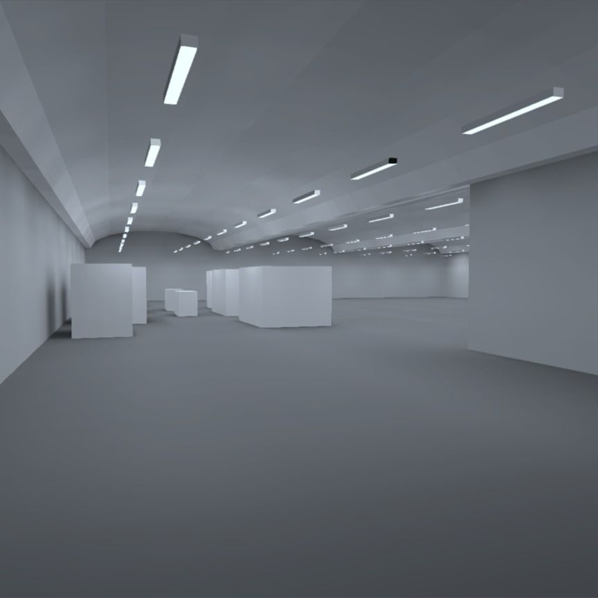 rimsa - progettazione illuminotecnica