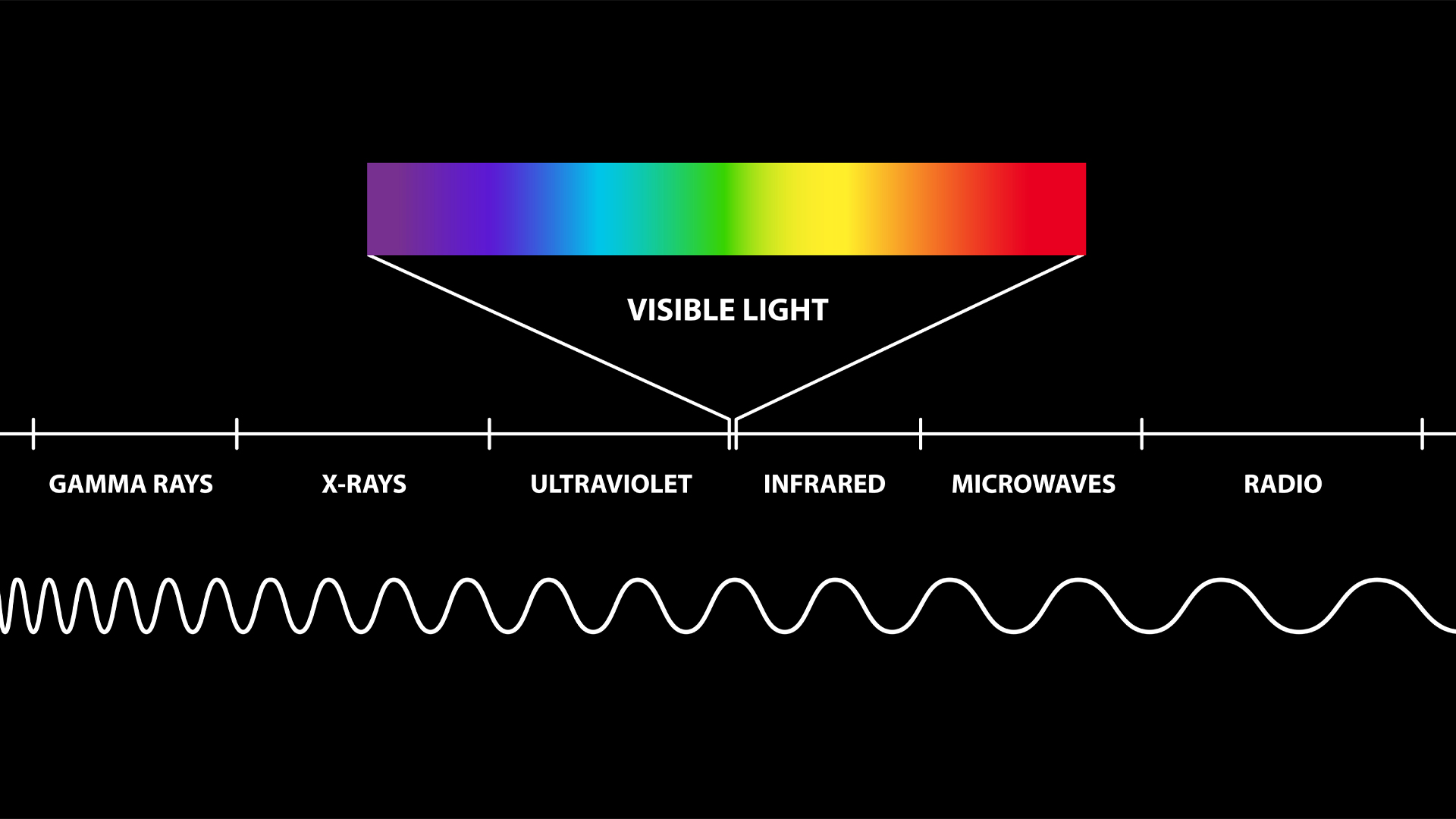 rimsa - visible light spectrum